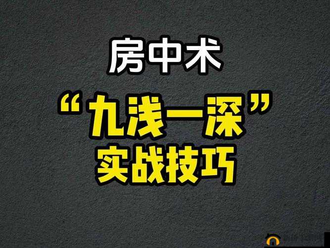 什么是9浅1深左3右3:一种独特的技巧模式探讨