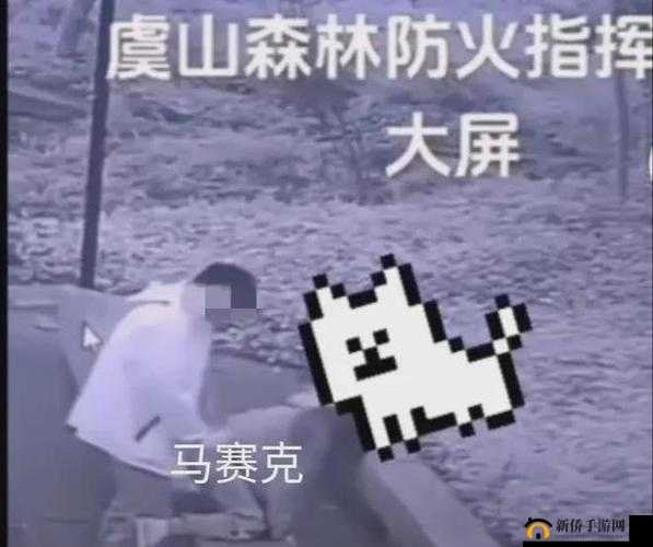 拔萝卜打牌不盖被子央视怒吼:背后的故事与深刻影响