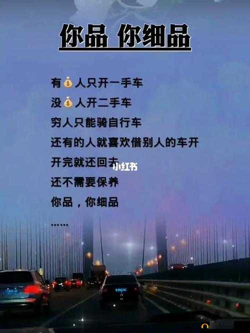 99 品品——探寻品质生活的独特之道