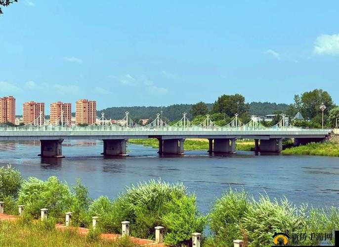 伊春园 2024 直达进入：开启全新梦幻之旅的奇妙通道