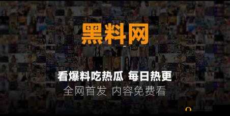 独家爆料正能量：最新黑料网带来不一样的视角