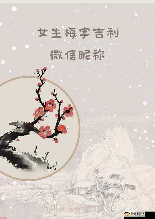 金花瓶楷梅花 2 之爱恋免费阅读：一部不容错过的精彩小说