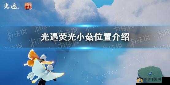 光遇荧光小菇在哪里
