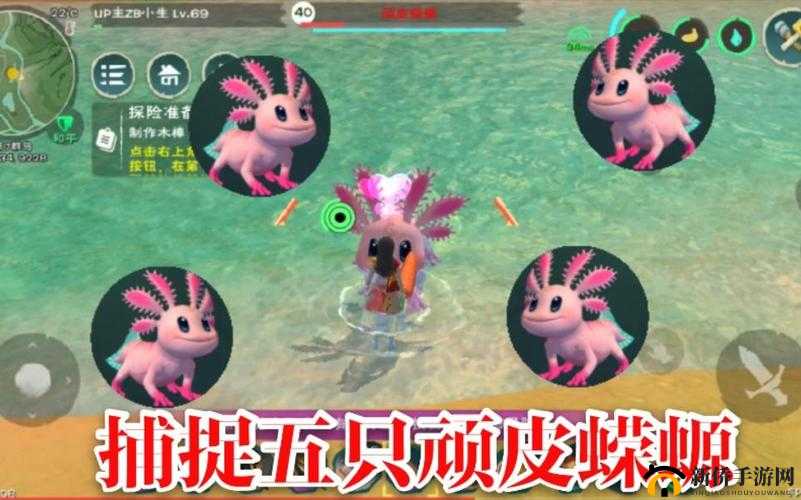 顽皮蝾螈,创造与魔法中的独特生物与捕捉指南