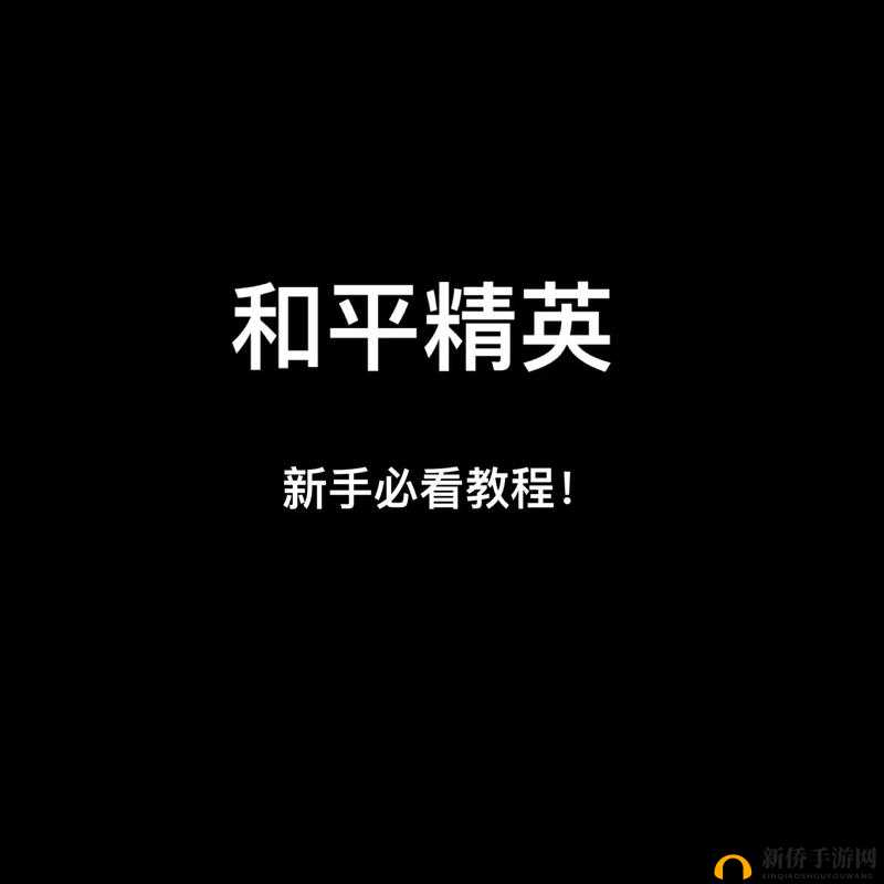 和平精英新手入门攻略,资源管理与最大化价值