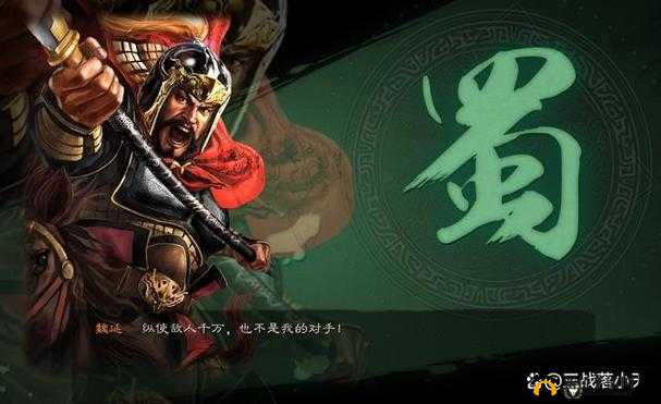 三国志战略版魏延值得抽吗,资源管理视角下的深度解析