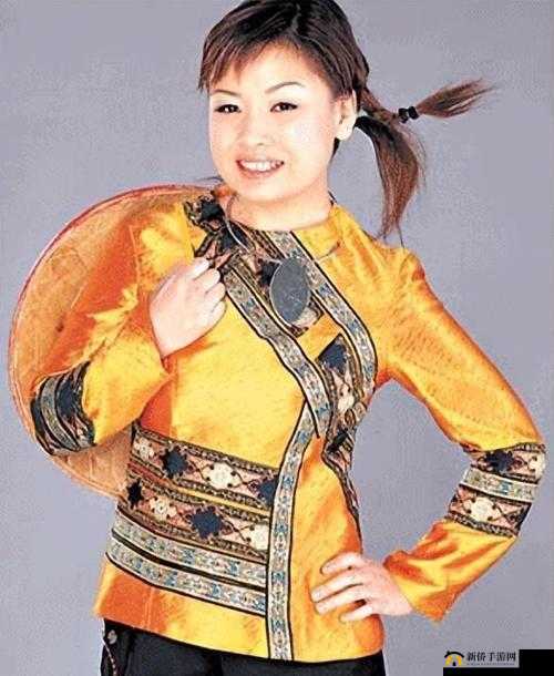 麻花传 MDR 免费版李琼:揭秘其背后的故事