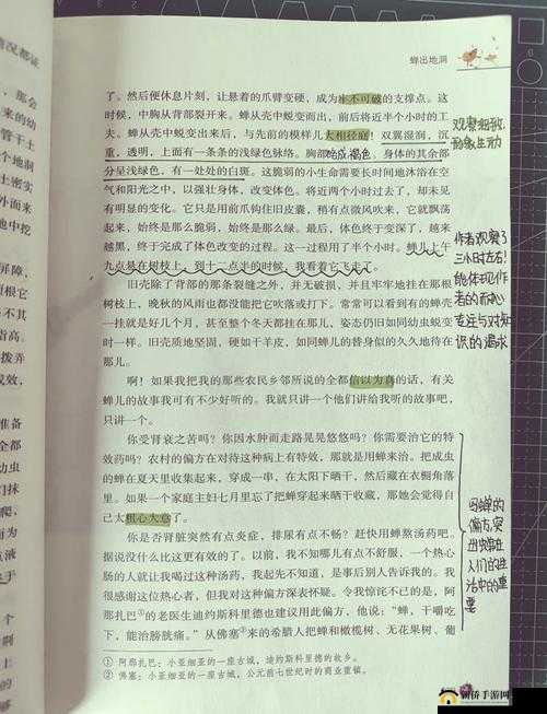 怎么知道是不是顶到头了:探寻其中的奥秘与判断方法