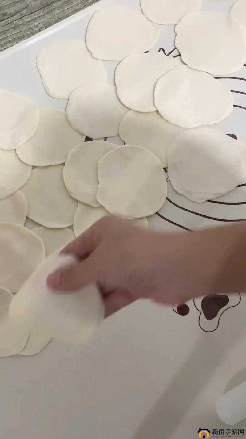 姬小满饺子皮最简单处理方法：轻松搞定饺子皮制作
