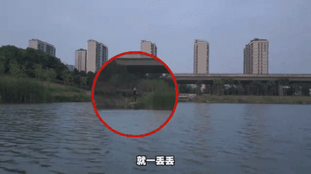淑蓉说把船开到湖中间:背后隐藏的秘密与动机
