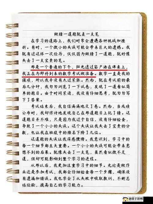 如何在做一道题时插一支笔:详细步骤与技巧