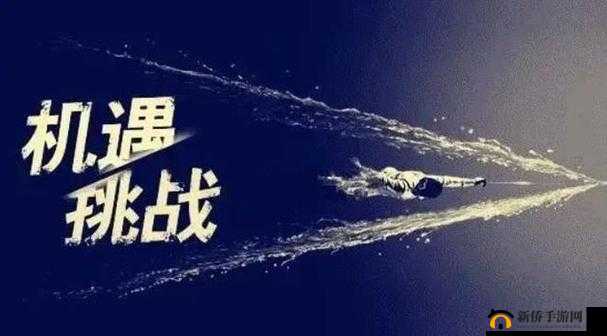 做到一半不知换了谁:工作连续性的挑战与应对