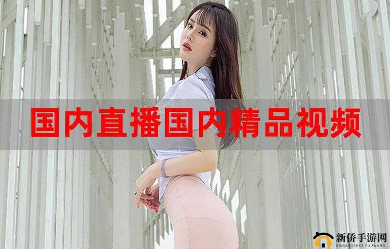 在线精品视频在线观看国内:畅享优质国内视频资源