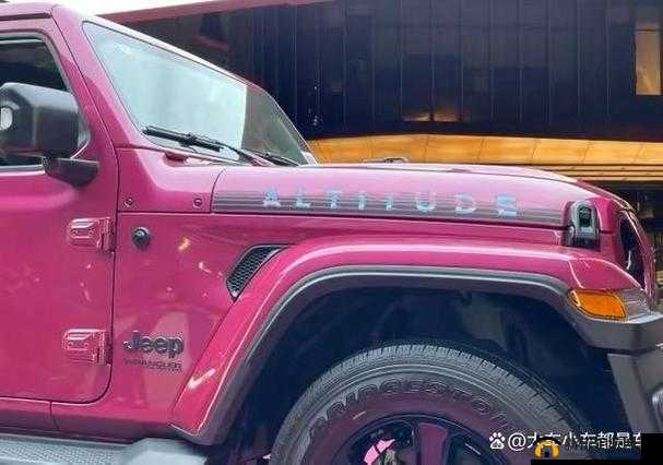 桃红色 Jeep 界人口:畅享独特功能体验的聚集地
