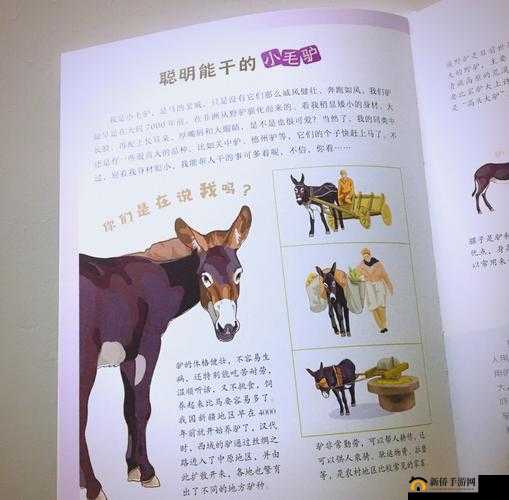 99 精品产国品橙人日韩无玛:探索未知的奇妙之旅