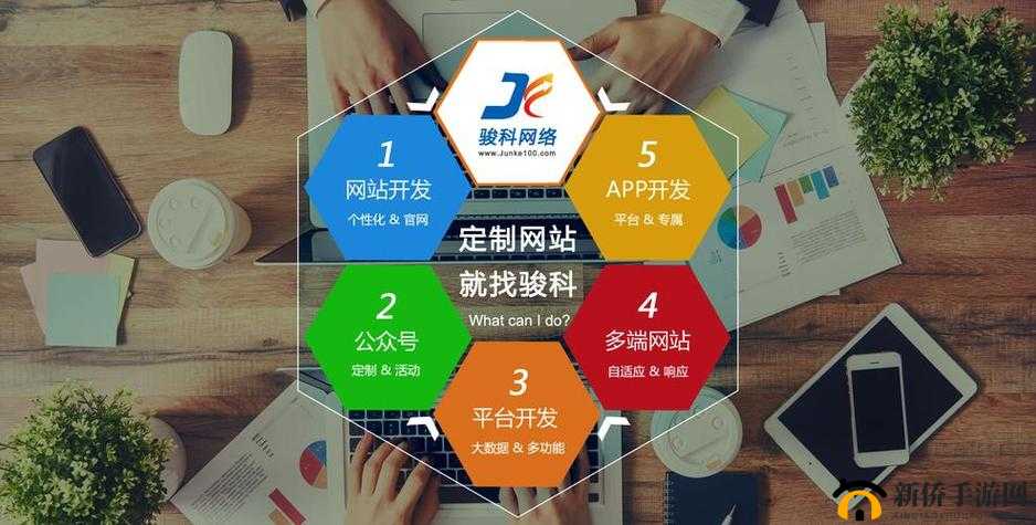 免费网站推广 2024,带你探索网络推广新境界