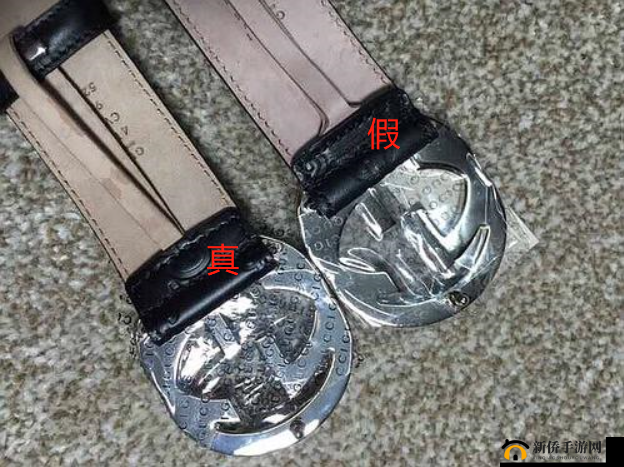 如何鉴定奢侈品:免费视频教程分享