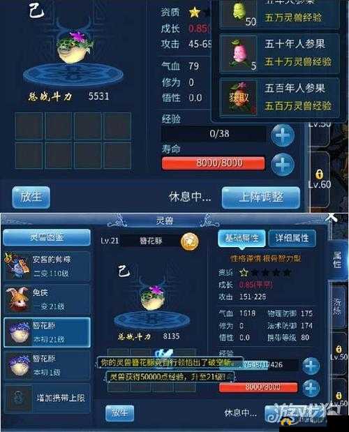 倩女幽魂灵兽技能书:深度解析与实战应用指南