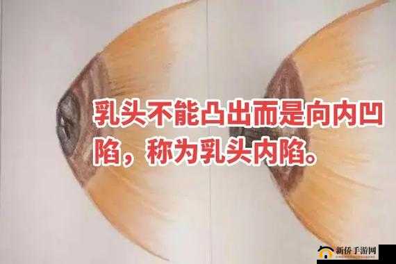 内乳乱射:独特刺激的别样视觉冲击