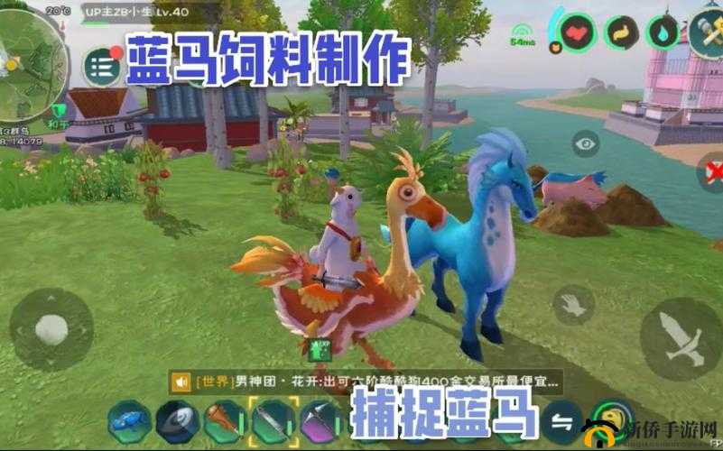 创造与魔法怎么捉马