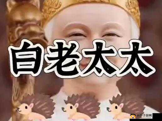 老太太那极具特色的 BGMBGMBGM 引发的奇妙故事