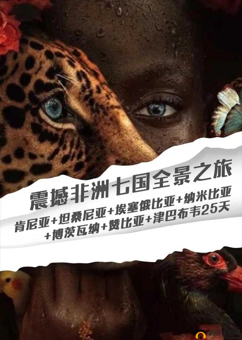 色哟哟非洲:探索神秘非洲大陆的奇妙之旅