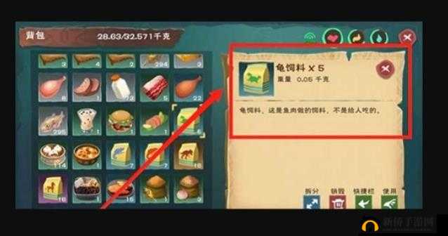 创造与魔法乌龟吃什么,资源管理中的智慧与实践