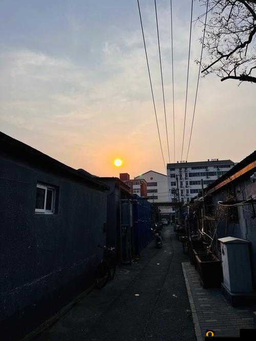 午夜剧场普通用户:探寻精彩剧情背后的平凡视角