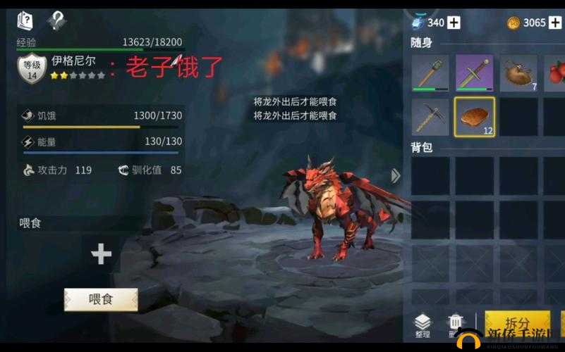 冰原守卫者,龙粪短缺?别担心,妙招来袭!