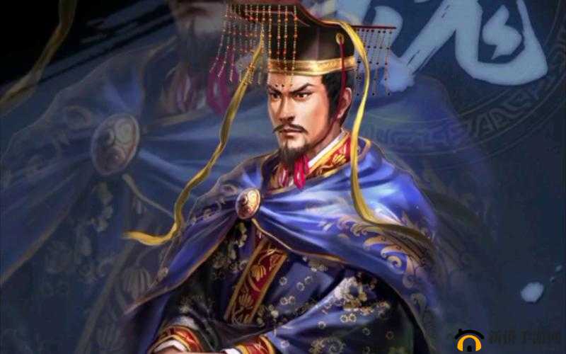 三国志战略版曹丕怎么玩,资源管理、高效利用与价值最大化