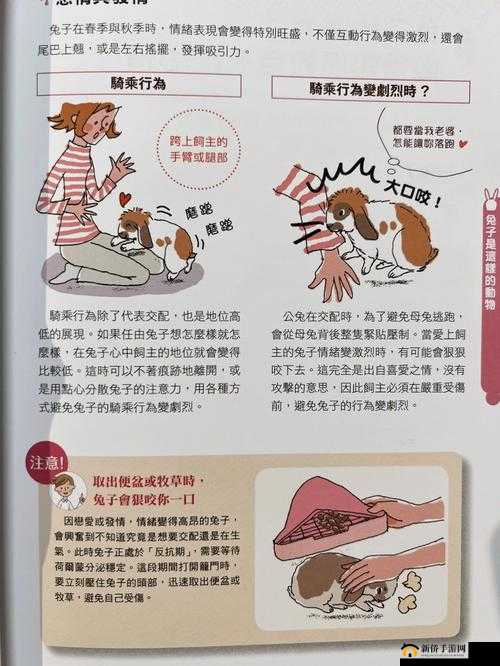 男朋友喜欢吃我的小兔兔,这是一种怎样的心理?