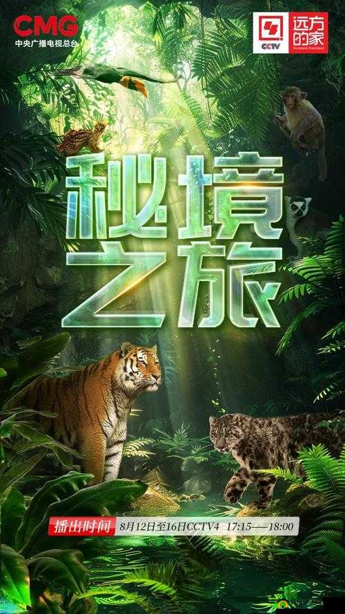 神秘 5 线路:探寻未知世界的奇幻冒险之旅