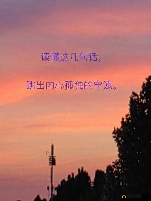 深夜释放自己的粉色:在孤独中寻找真实的自己