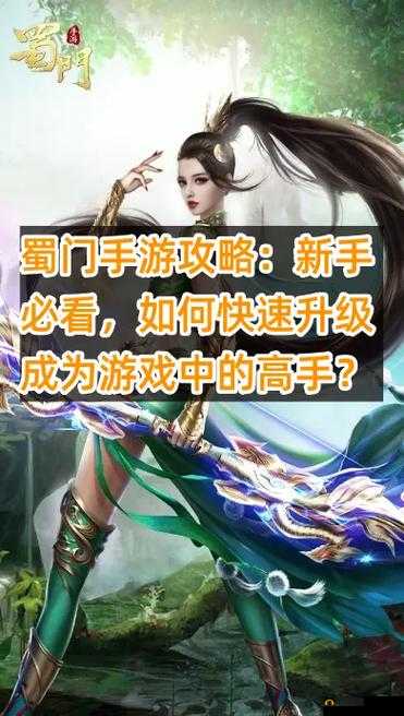 蜀门手游快速升级攻略,资源管理的艺术