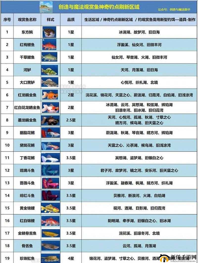 创造与魔法鱼缸观赏鱼怎么弄