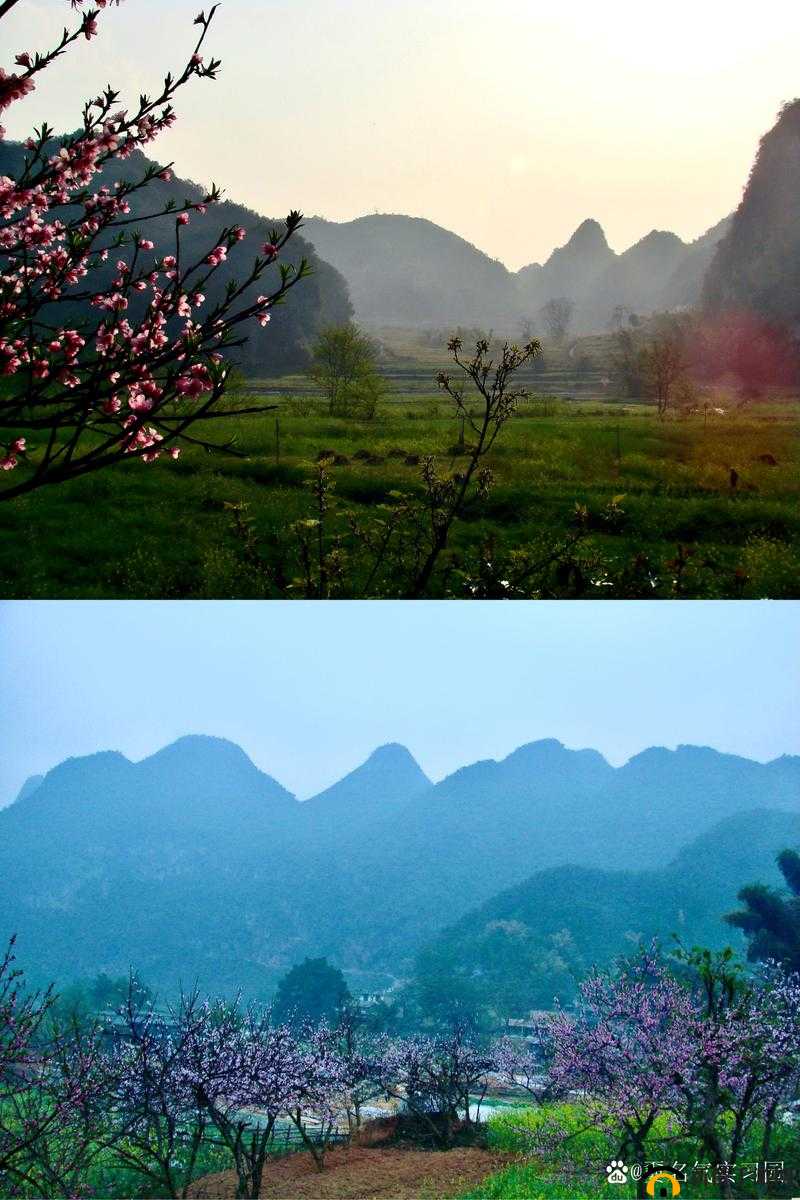 世外桃源的生命之源:桃花源口水潺潺