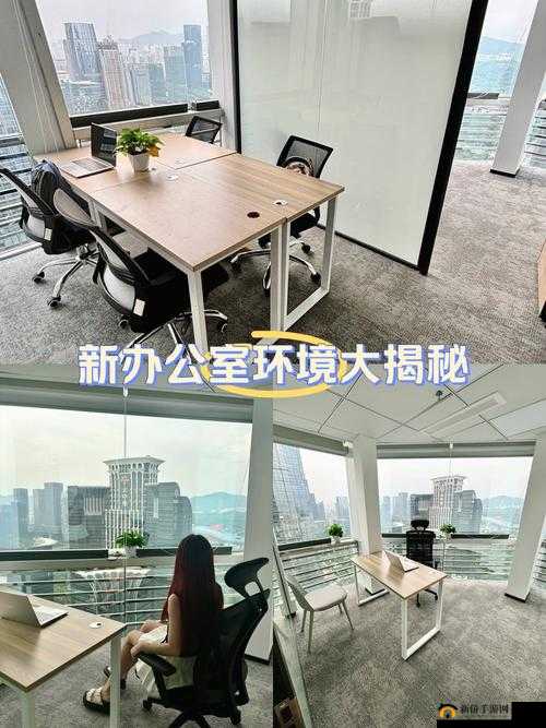 办公室 5 人轮换 3 新玩法大揭秘
