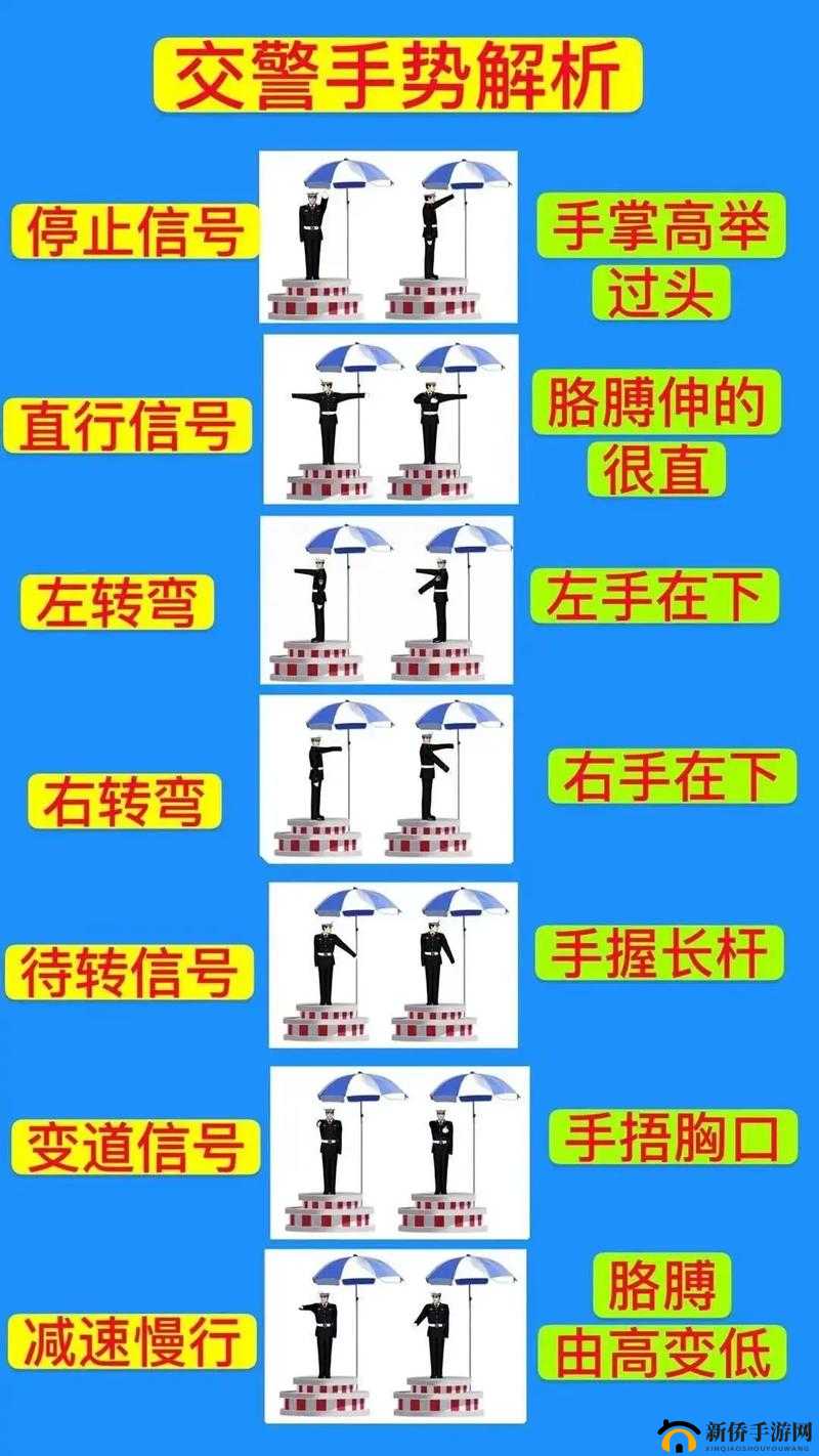 扣自己的正确手势图:详细解读与实际应用