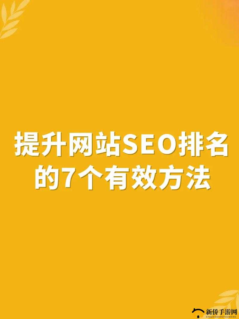 SEO 短视频网页入口：提升网站排名的秘密武器