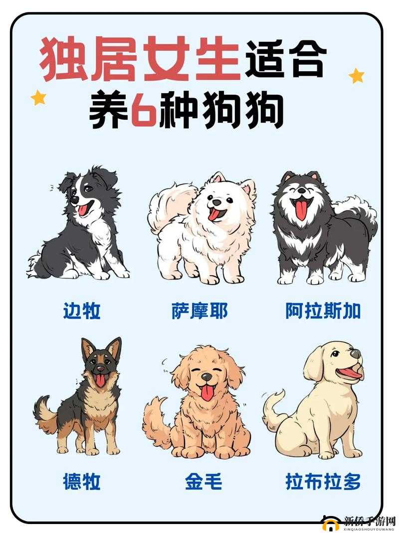 把一个女生训练成狗要多久:这是一种极其错误且不道德的行为设想