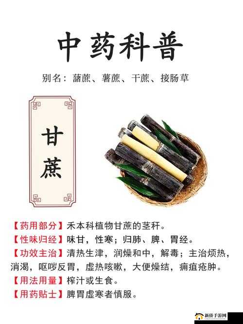 甘蔗的魔法变奏曲,创造与魔法甘蔗食谱大揭秘