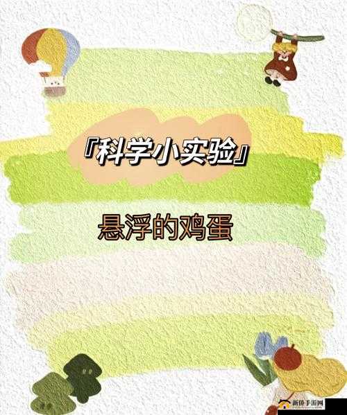 B 里可以放多少个鸡蛋图片：探寻容纳鸡蛋的奥秘