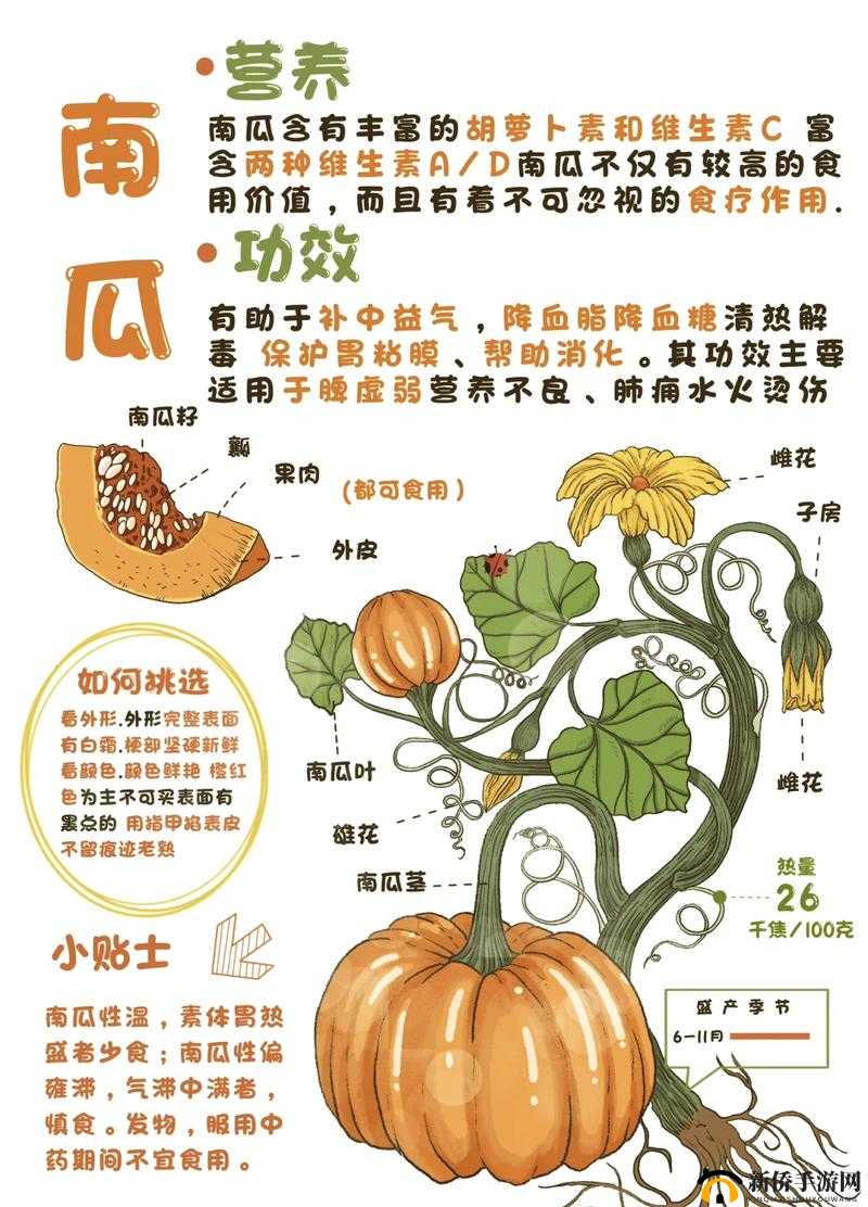 吃花核心流水喝:探寻独特饮食背后的奇妙世界