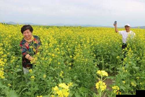 1 区 1 区 3 区 4 区产品芒果在线：最新最热的视频资源，尽在这里
