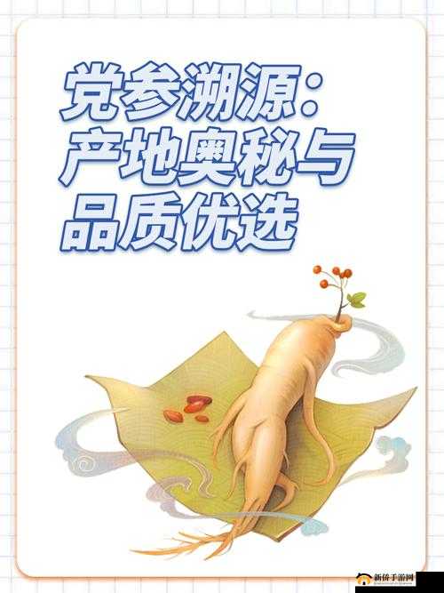 探寻 99 国精产品品质溯源,揭开神秘面纱