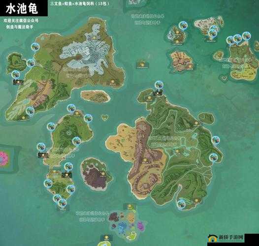 创造与魔法游戏深度解析，全面游泳池建造步骤与技巧指南