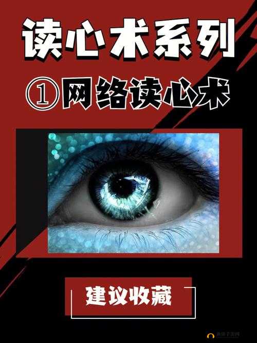 四虎新 888 网：独特精彩的网络体验之旅
