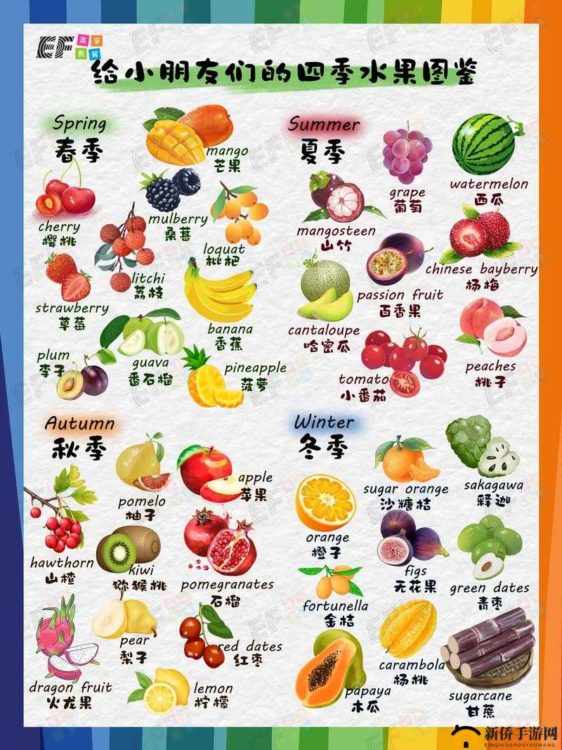 四季水果与蔬菜：草莓樱桃丝瓜秋葵榴莲黄瓜大全