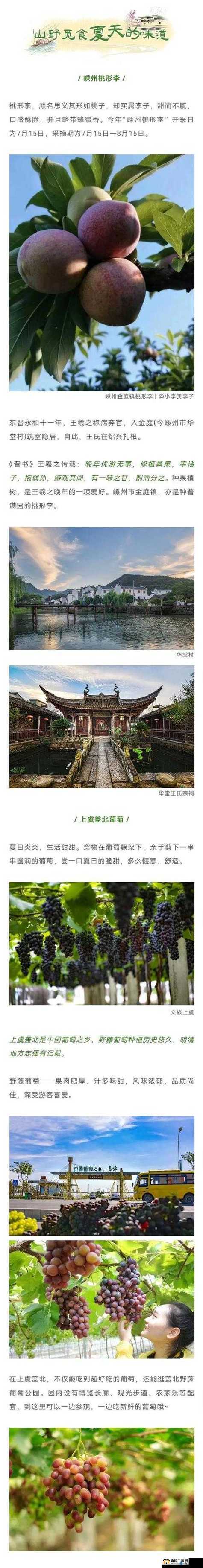 x9x9x9 随意率性槽：挑战你的想象力