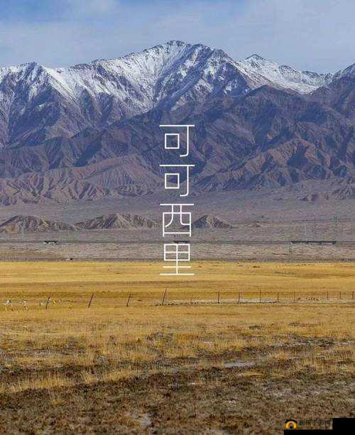 可可西里大但人文艺术：探寻这片神秘土地上的独特魅力与深厚内涵